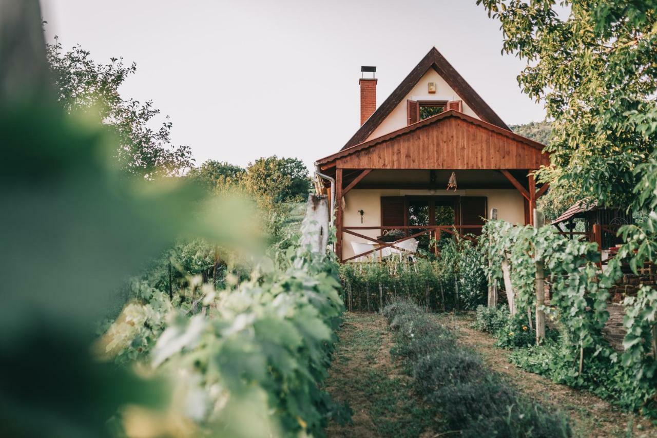 Holiday home Szent Gyoergy